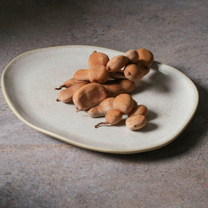 Oval Dinner Plate - Set of 6 - H+E Goods Company
