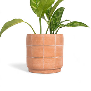 Grid Terracotta Planter - Small - H+E Goods Company