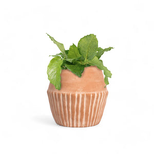 Valentina Planter - H+E Goods Company