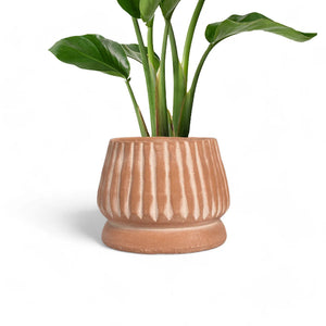 Mateo Planter - H+E Goods Company