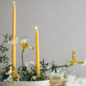 Dipped Taper Candles 12" - Petal - H+E Goods Company