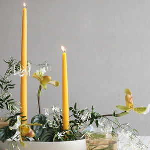 Dipped Taper Candles 18" - Miel - H+E Goods Company