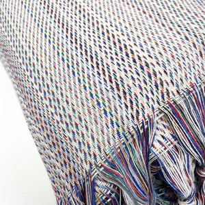 Multicolor Cotton Throw Blanket - H+E Goods Company